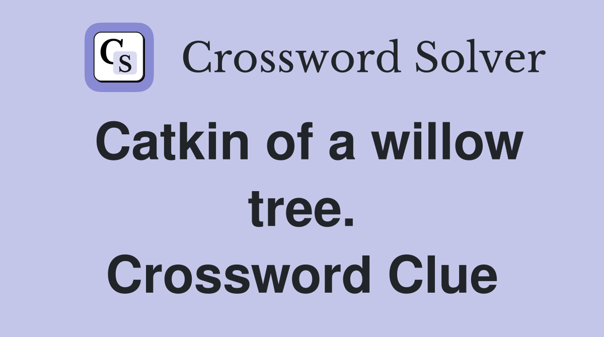 Catkin of a willow tree. Crossword Clue