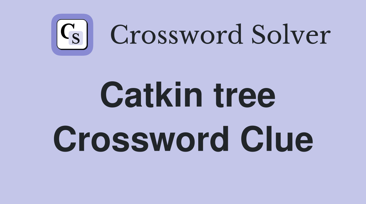 Catkin tree Crossword Clue
