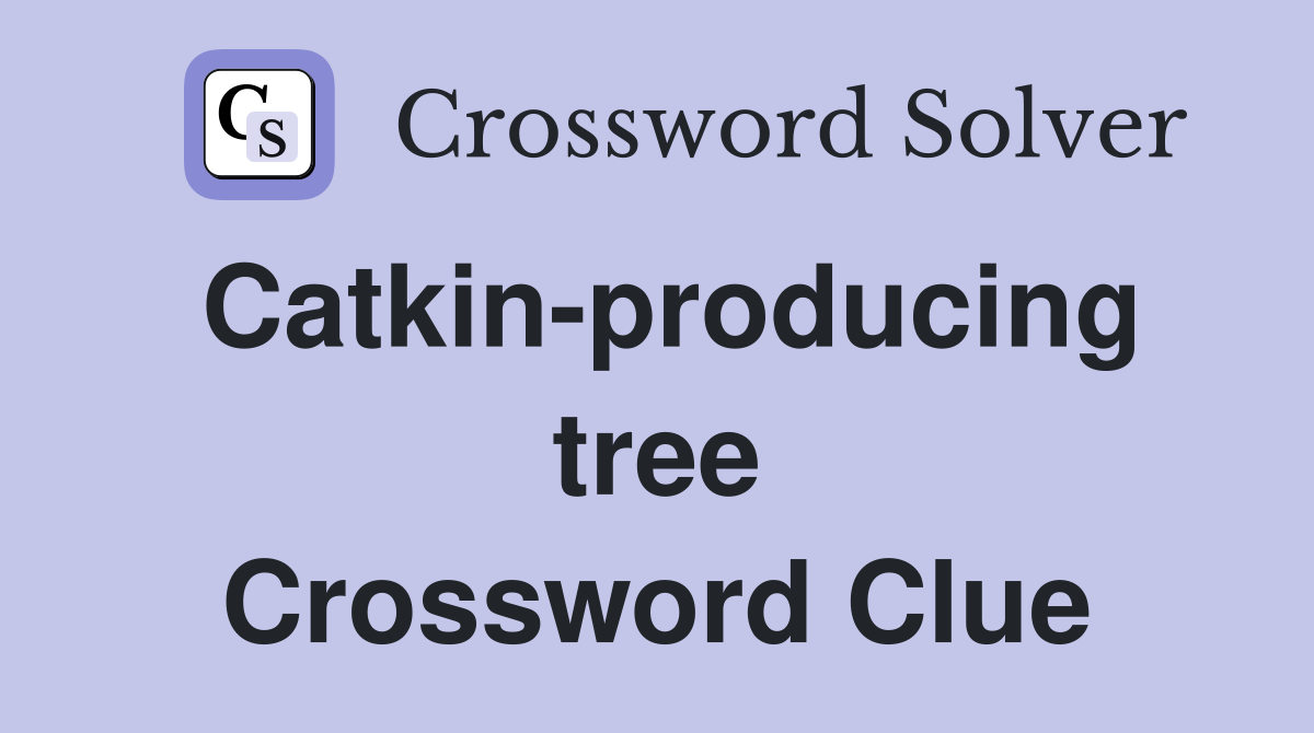Catkin-producing tree Crossword Clue