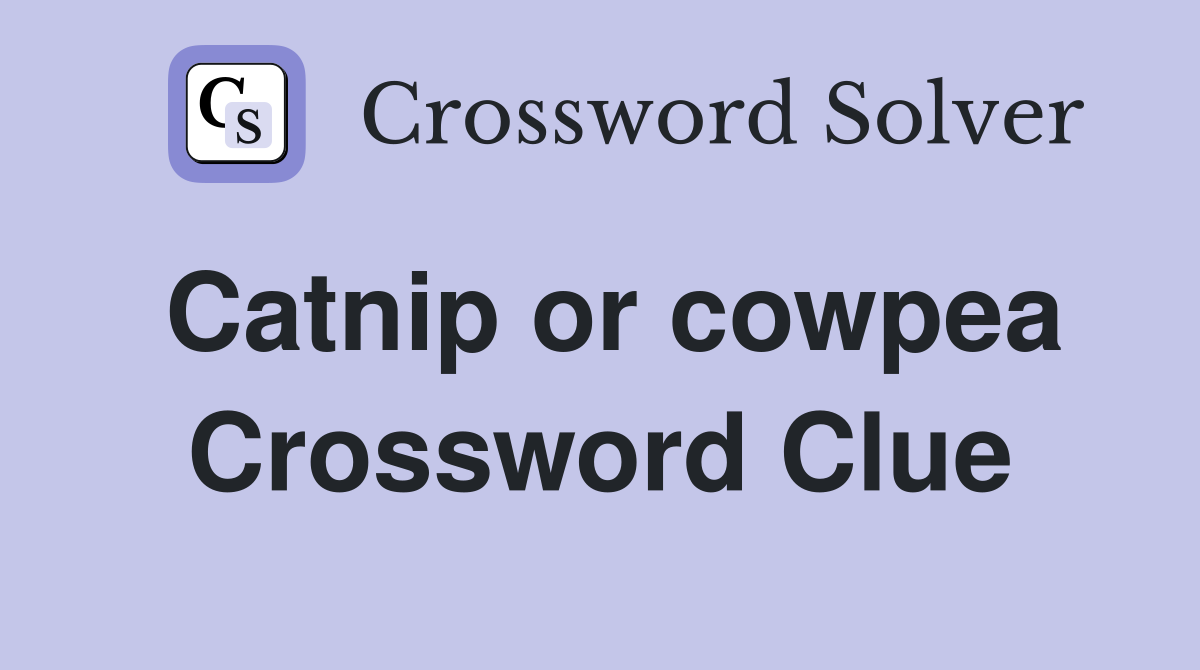 Catnip or cowpea Crossword Clue