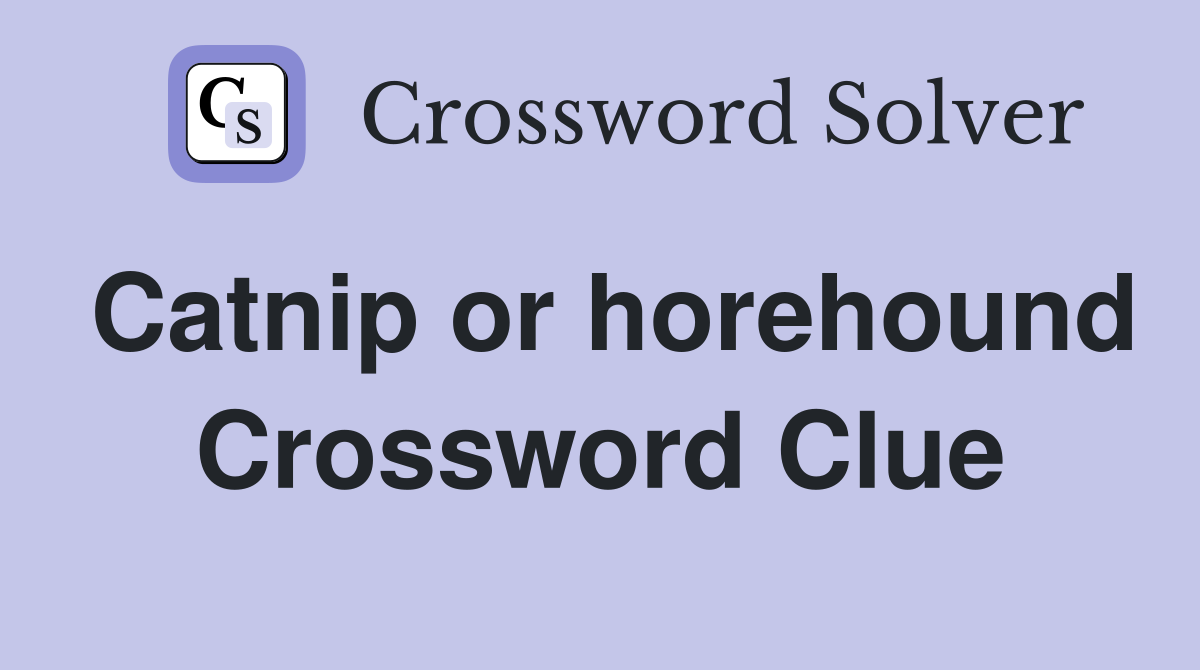 Catnip or horehound Crossword Clue