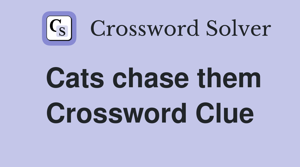 Cats chase them Crossword Clue