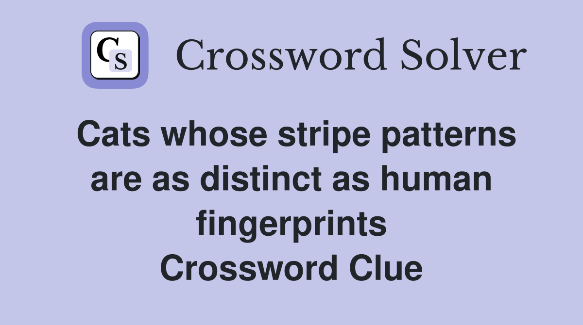 Cats whose stripe patterns are as distinct as human fingerprints Crossword Clue