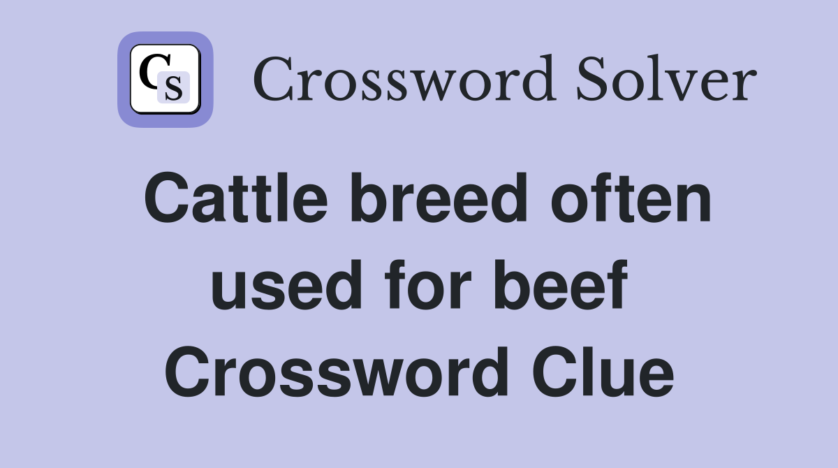 Cattle breed often used for beef Crossword Clue