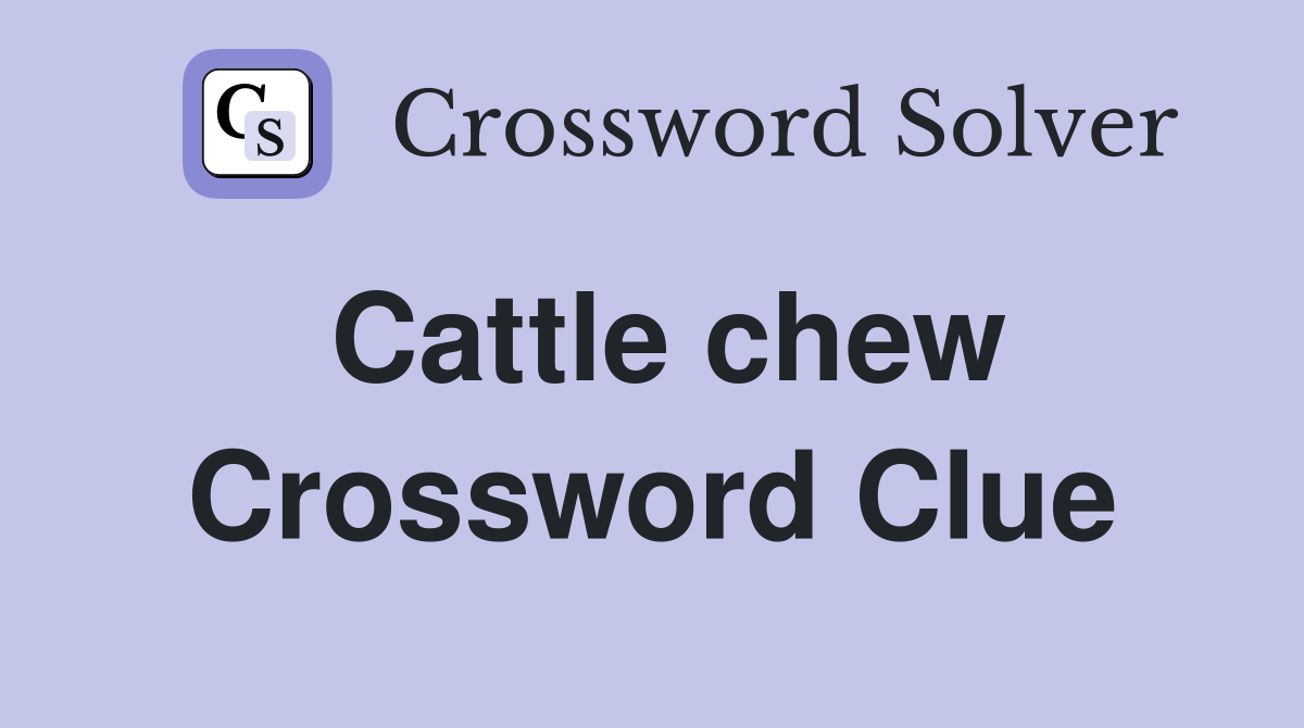 Cattle chew Crossword Clue