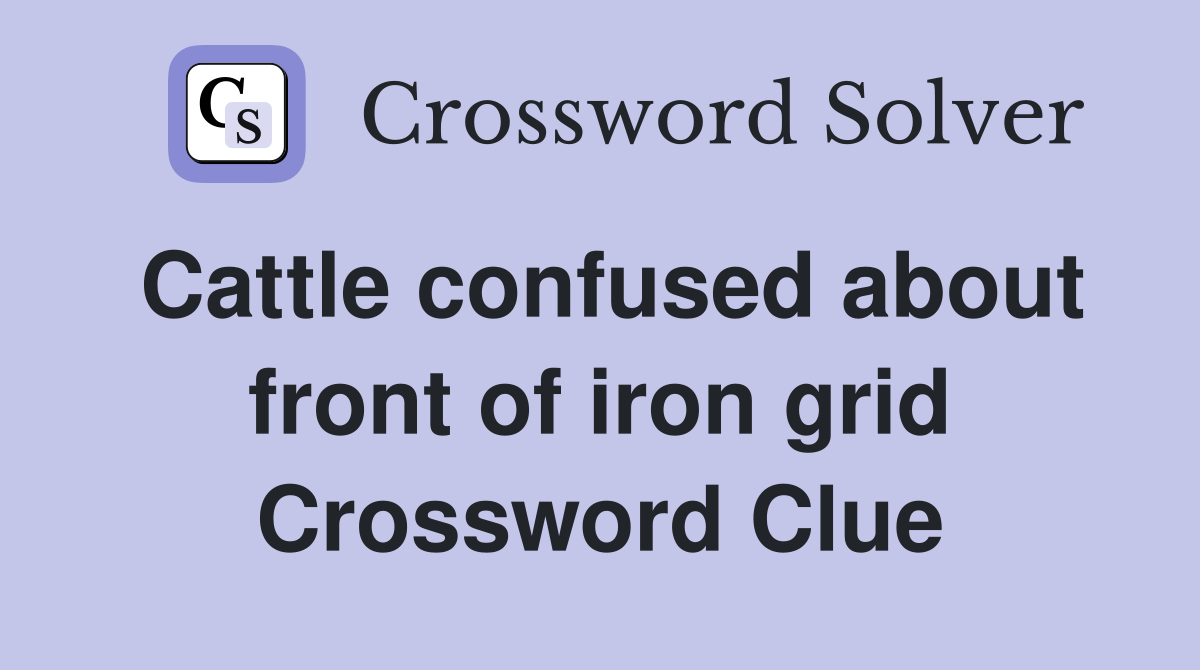 Cattle confused about front of iron grid Crossword Clue