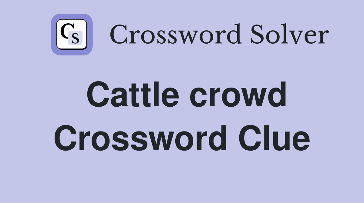 Cattle crowd Crossword Clue