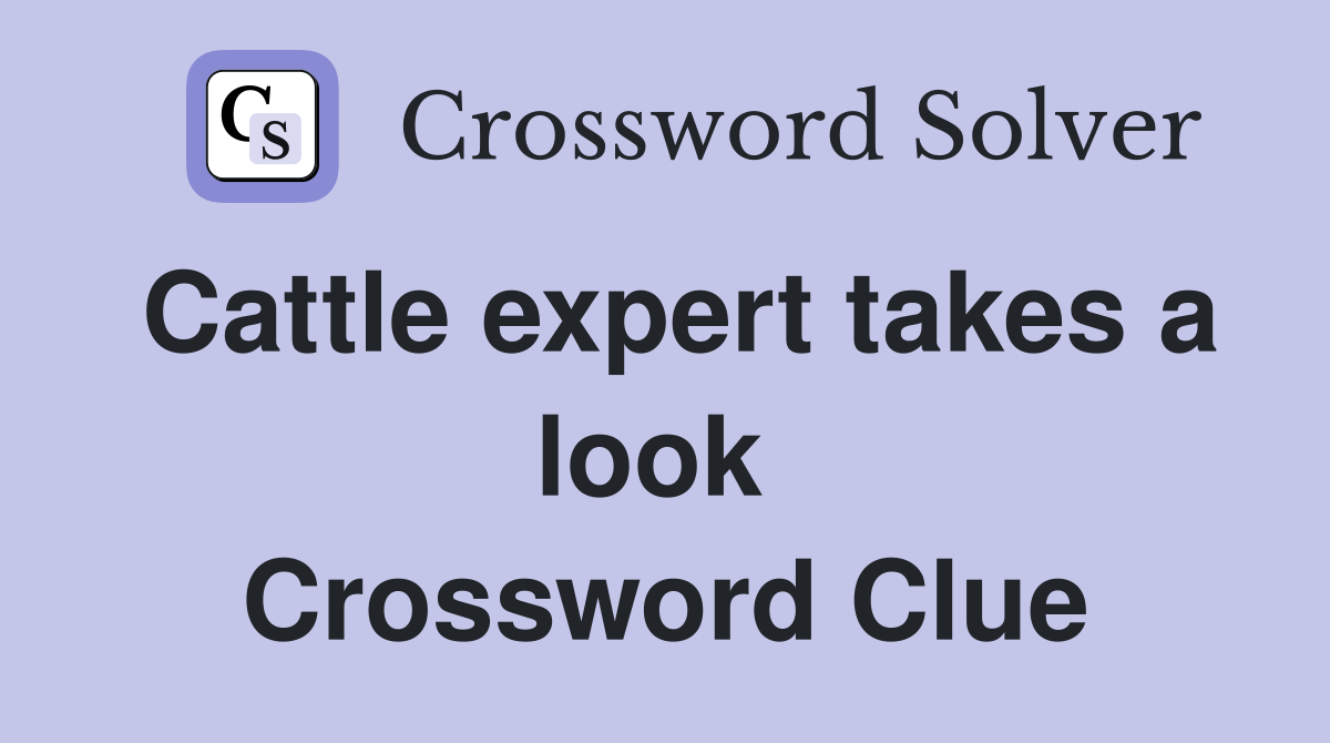 Cattle expert takes a look  Crossword Clue