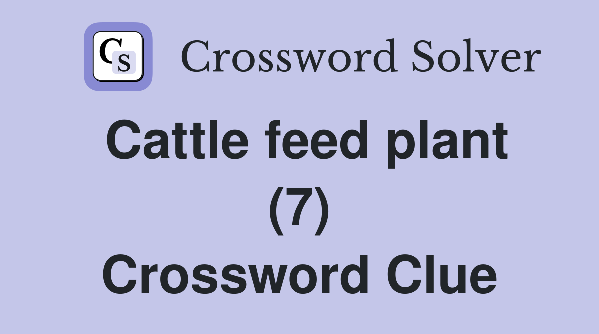Cattle feed plant (7) Crossword Clue
