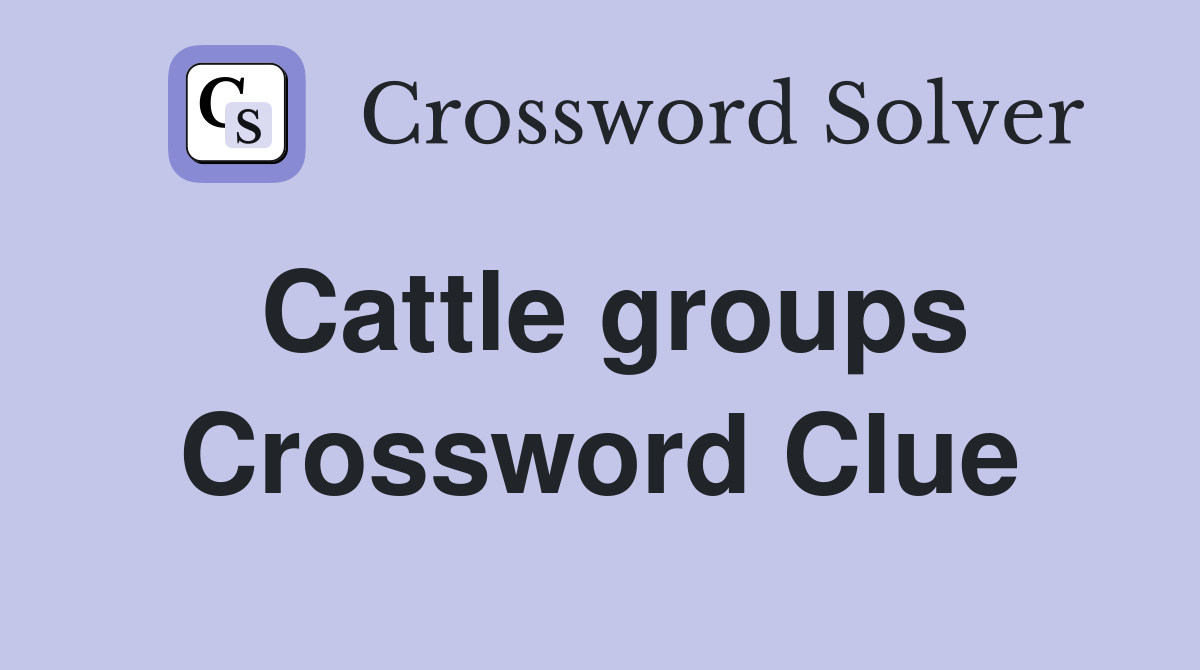 Cattle groups Crossword Clue