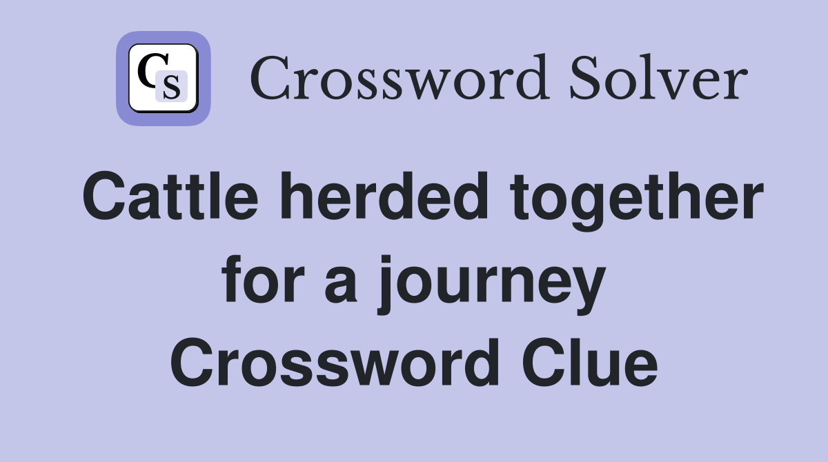 Cattle herded together for a journey Crossword Clue