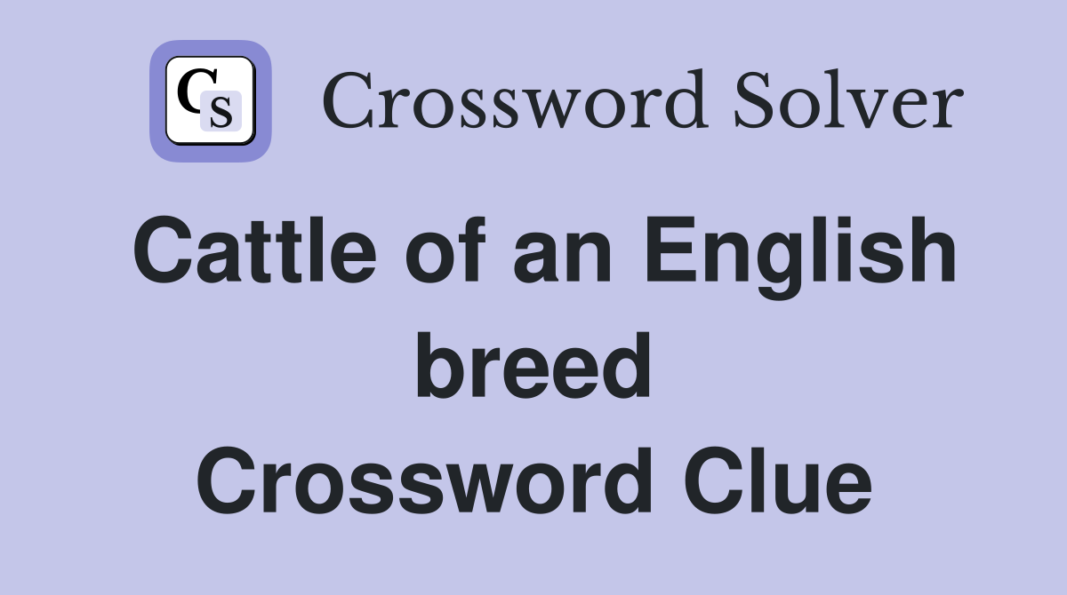 Cattle of an English breed Crossword Clue