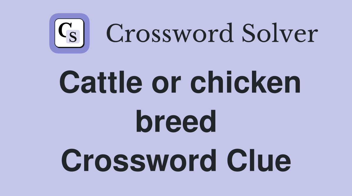 Cattle or chicken breed Crossword Clue