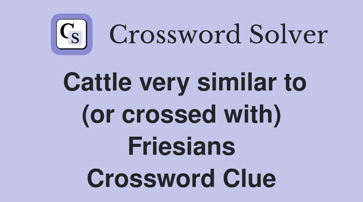 Cattle very similar to (or crossed with) Friesians Crossword Clue