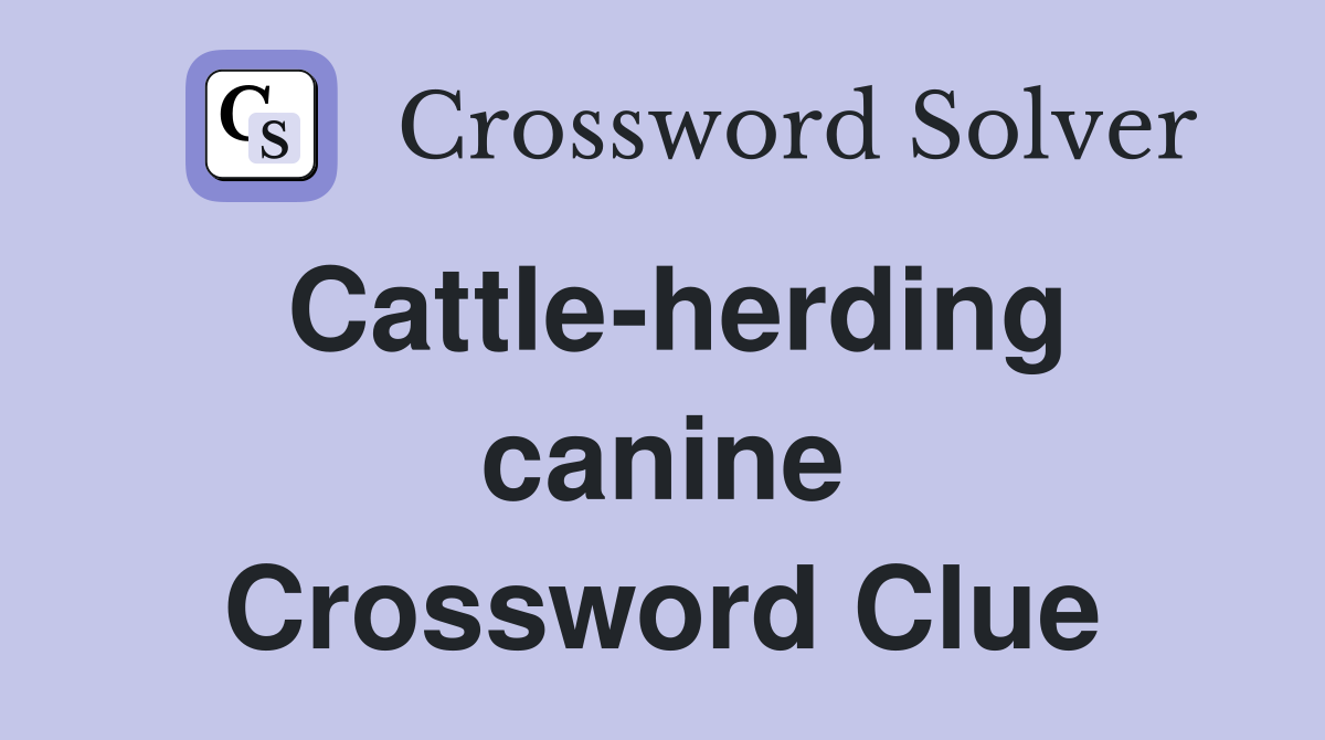 Cattle-herding canine Crossword Clue