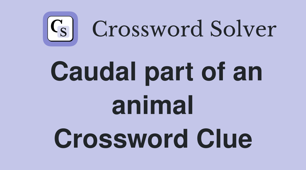 Caudal part of an animal Crossword Clue