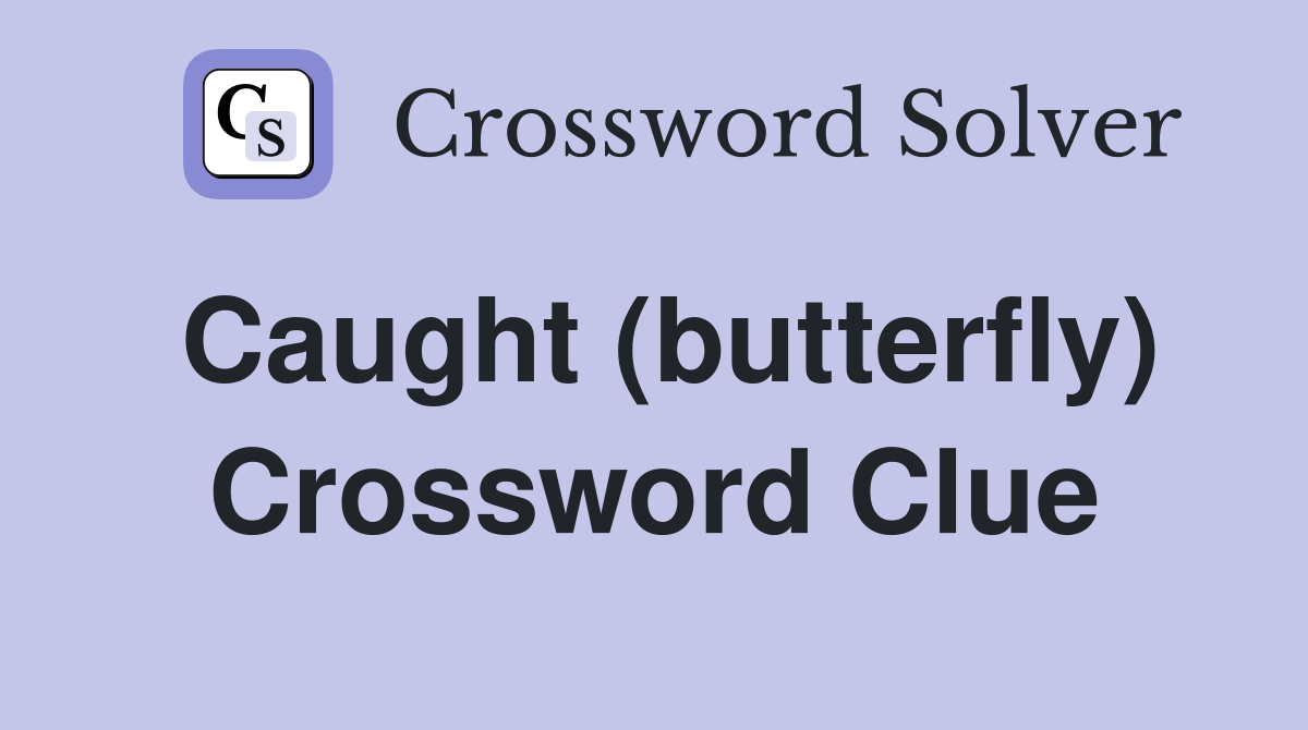 Caught (butterfly) Crossword Clue
