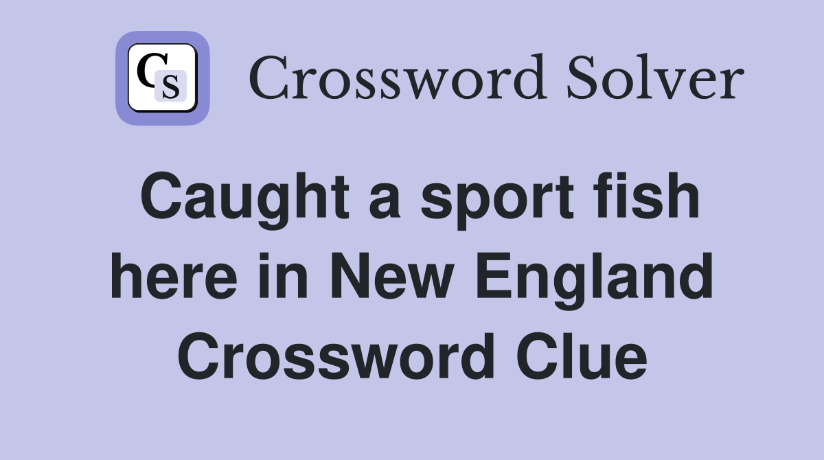 Caught a sport fish here in New England Crossword Clue