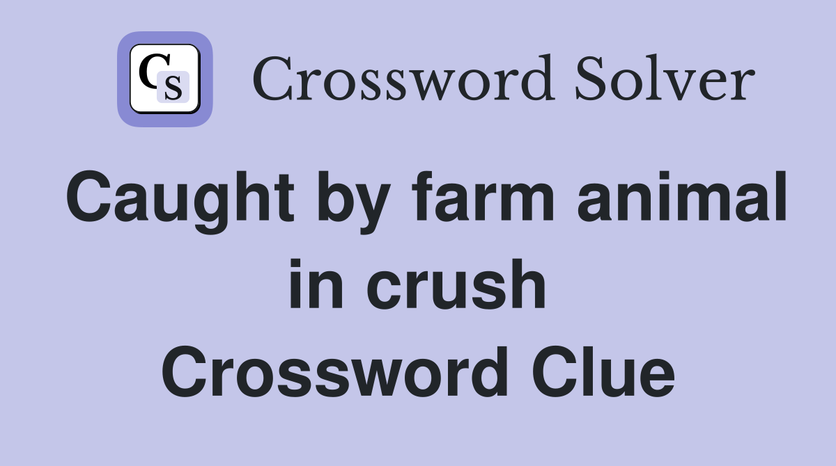 Caught by farm animal in crush Crossword Clue
