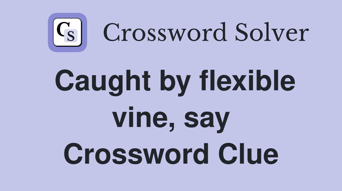 Caught by flexible vine, say Crossword Clue