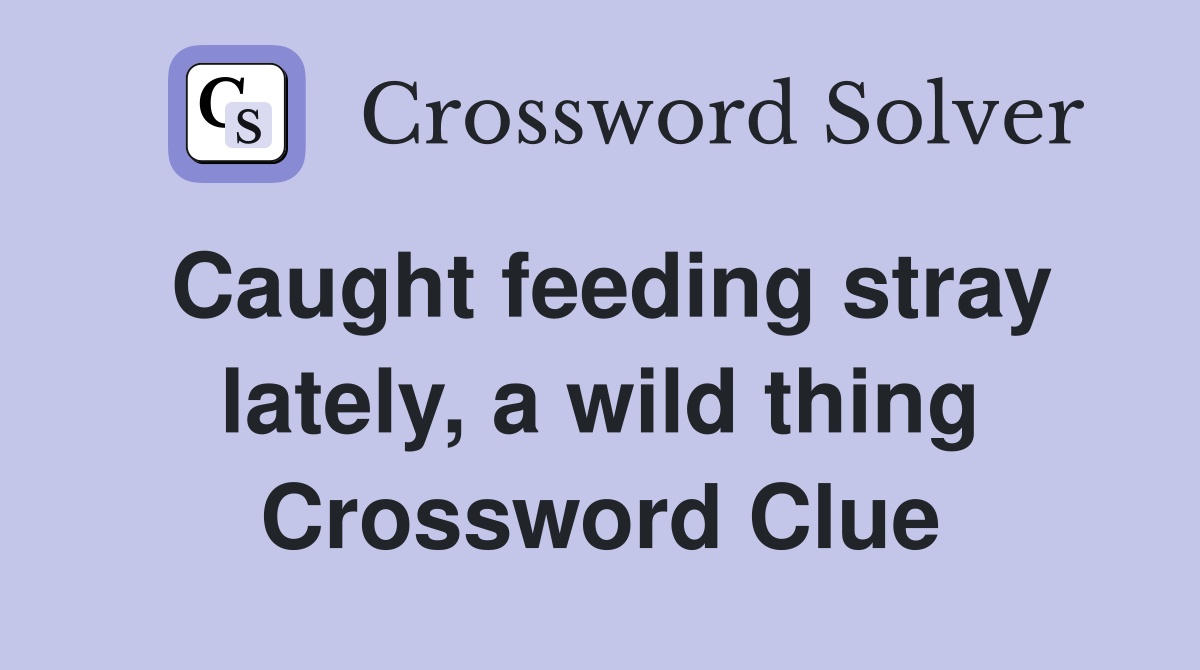 Caught feeding stray lately, a wild thing Crossword Clue