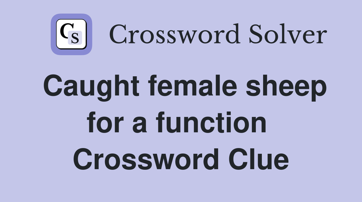 Caught female sheep for a function  Crossword Clue