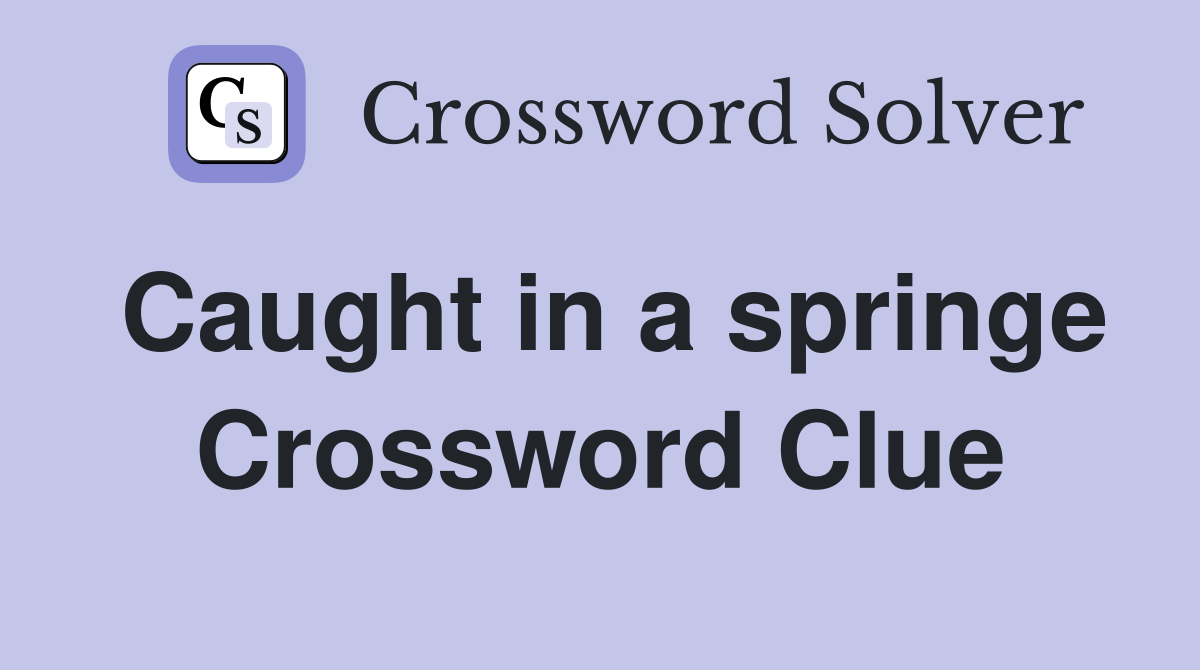 Caught in a springe Crossword Clue