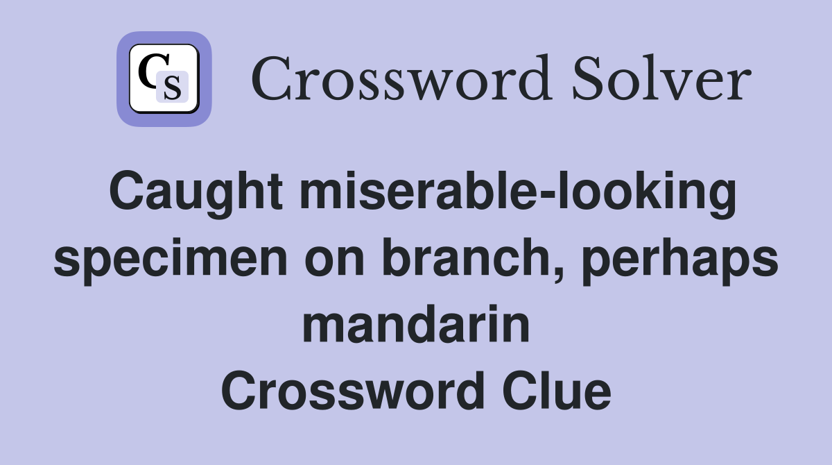 Caught miserable-looking specimen on branch, perhaps mandarin Crossword Clue
