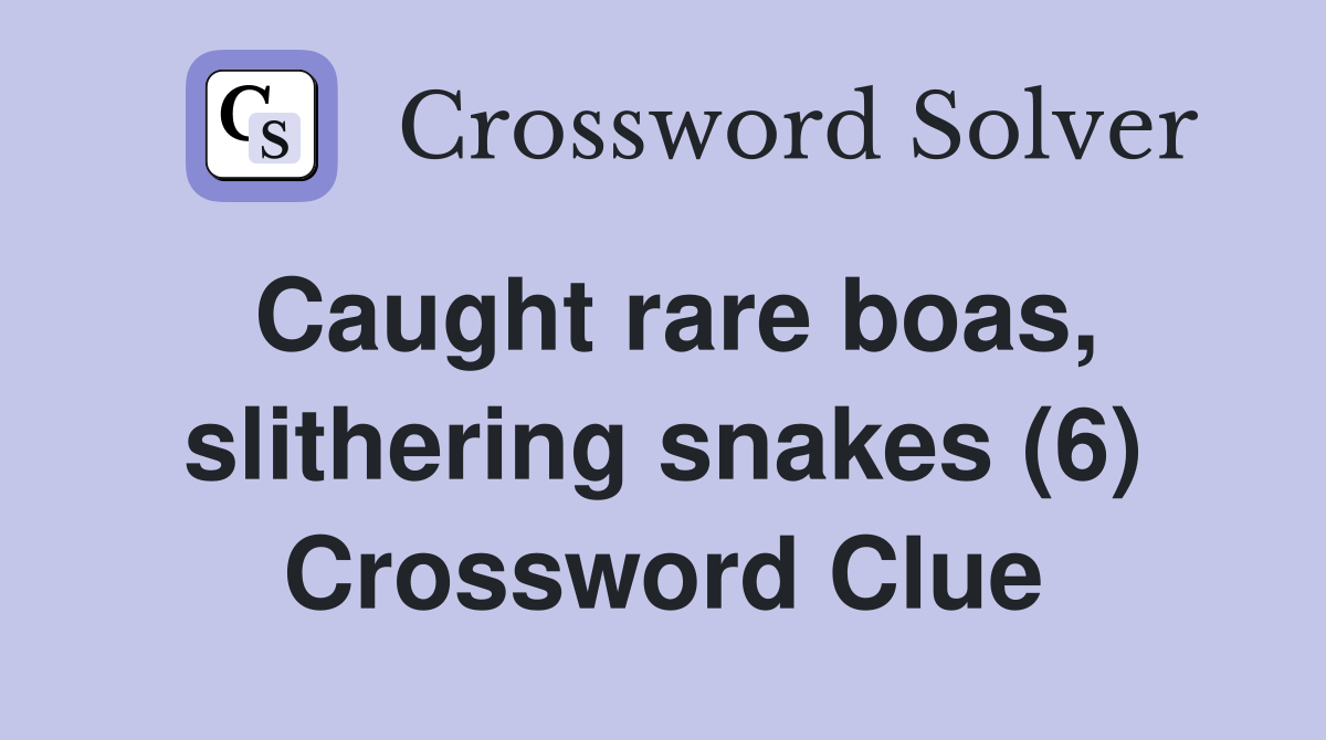 Caught rare boas, slithering snakes (6) Crossword Clue