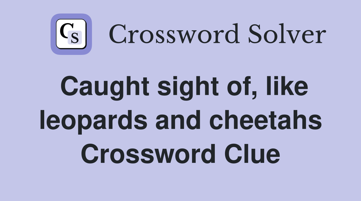 Caught sight of, like leopards and cheetahs Crossword Clue