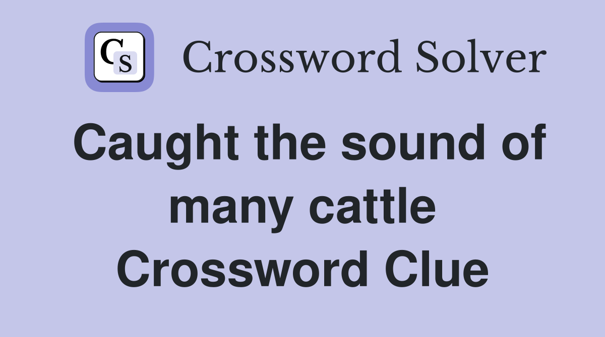 Caught the sound of many cattle Crossword Clue