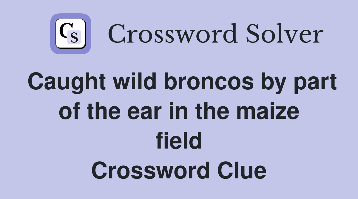 Caught wild broncos by part of the ear in the maize field Crossword Clue
