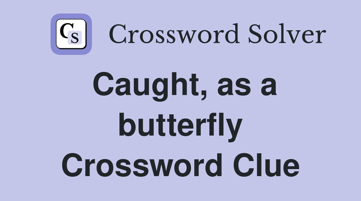 Caught, as a butterfly Crossword Clue