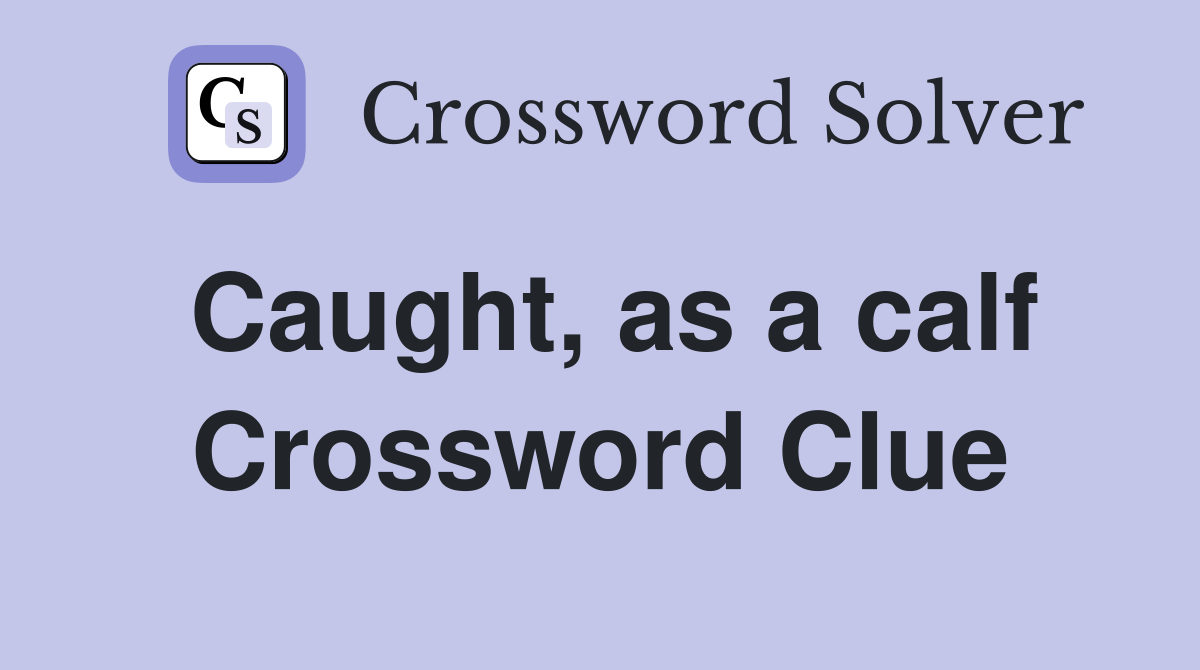 Caught, as a calf Crossword Clue