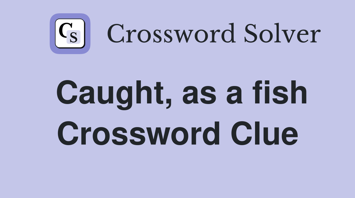 Caught, as a fish Crossword Clue