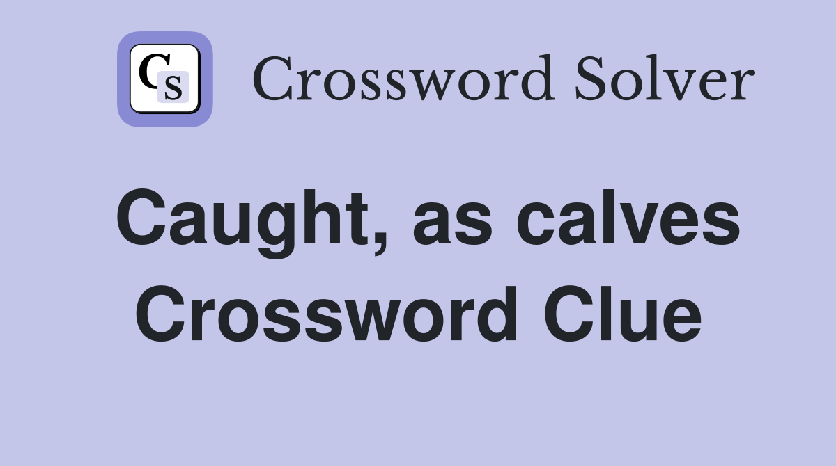 Caught, as calves Crossword Clue