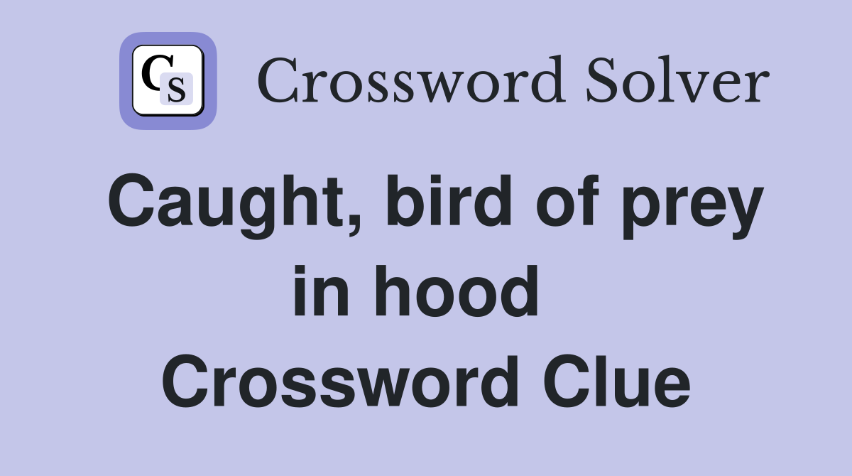 Caught, bird of prey in hood  Crossword Clue