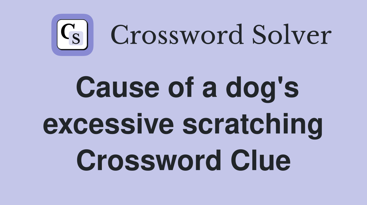 Cause of a dog's excessive scratching Crossword Clue