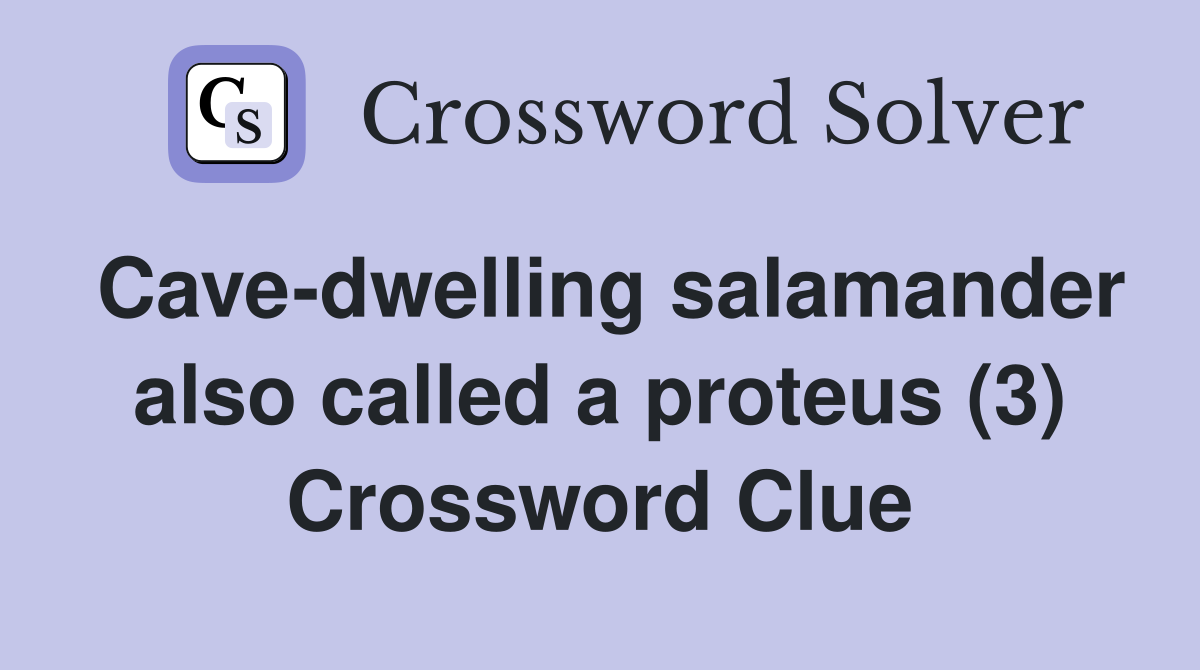 Cave-dwelling salamander also called a proteus (3) Crossword Clue