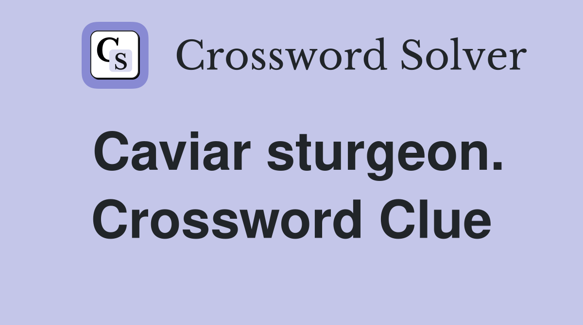 Caviar sturgeon. Crossword Clue