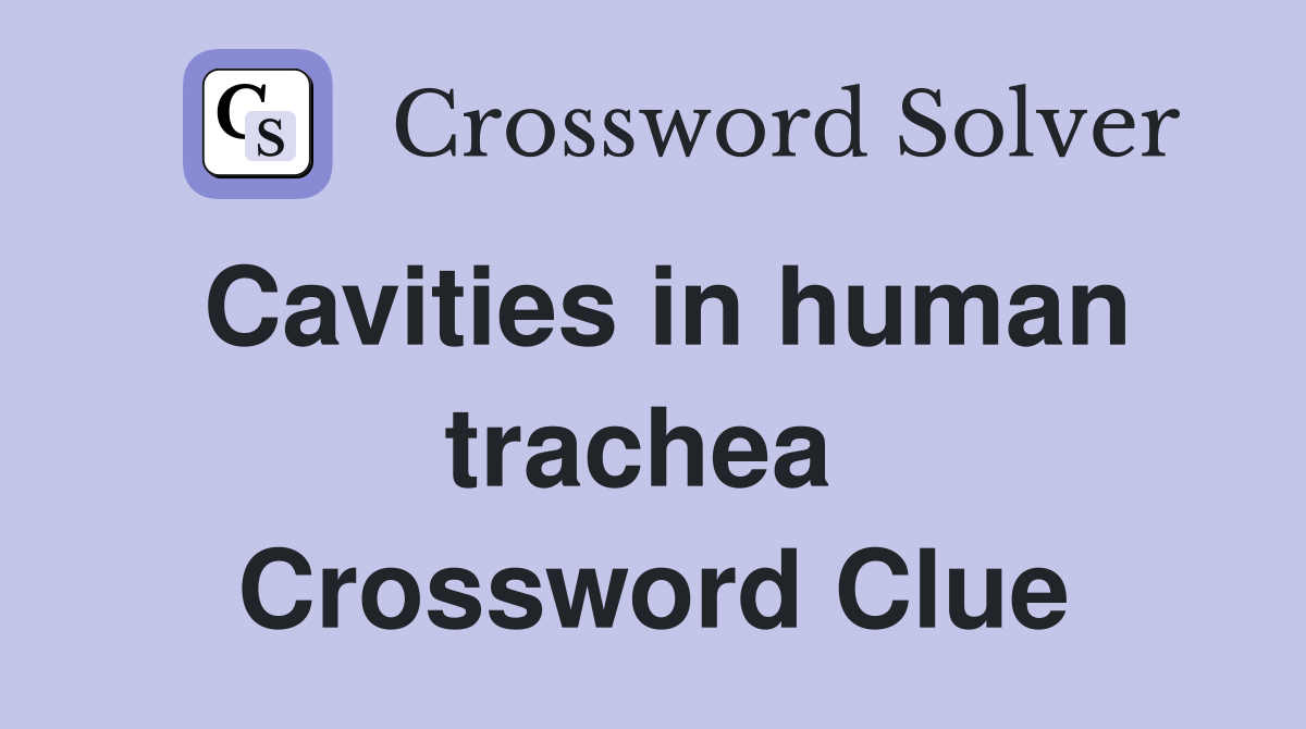 Cavities in human trachea  Crossword Clue
