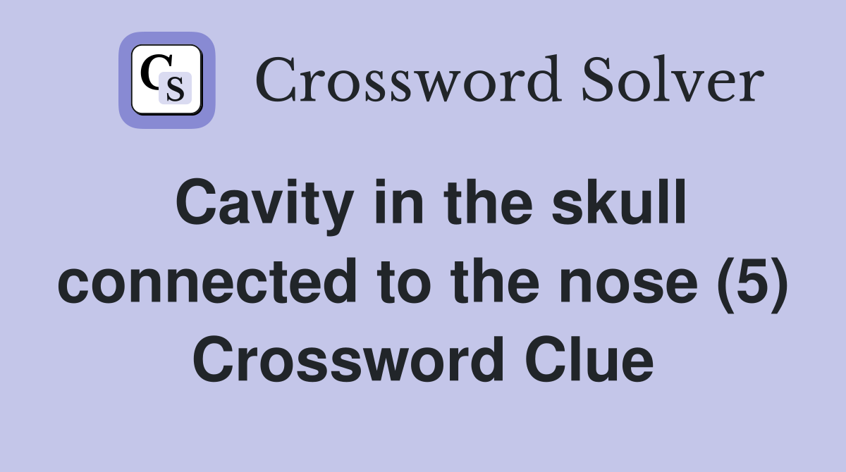 Cavity in the skull connected to the nose (5) Crossword Clue