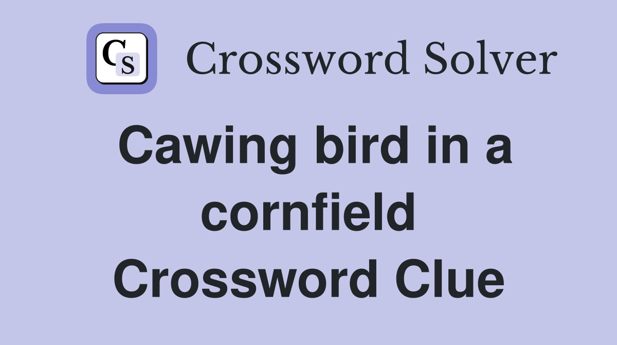 Cawing bird in a cornfield Crossword Clue