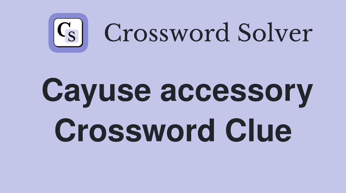 Cayuse accessory Crossword Clue