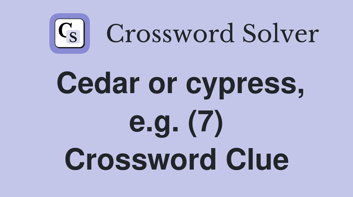 Cedar or cypress, e.g. (7) Crossword Clue