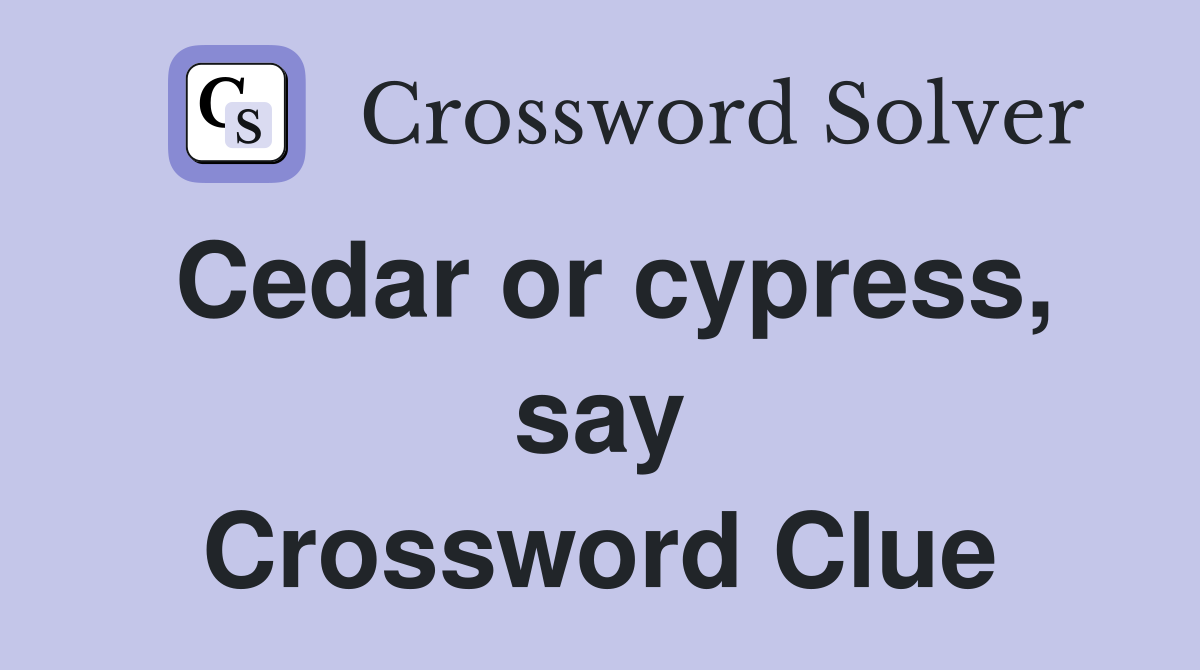 Cedar or cypress, say Crossword Clue
