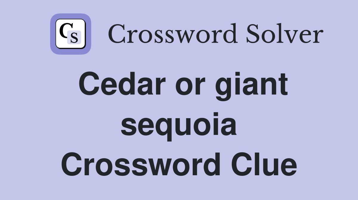 Cedar or giant sequoia Crossword Clue