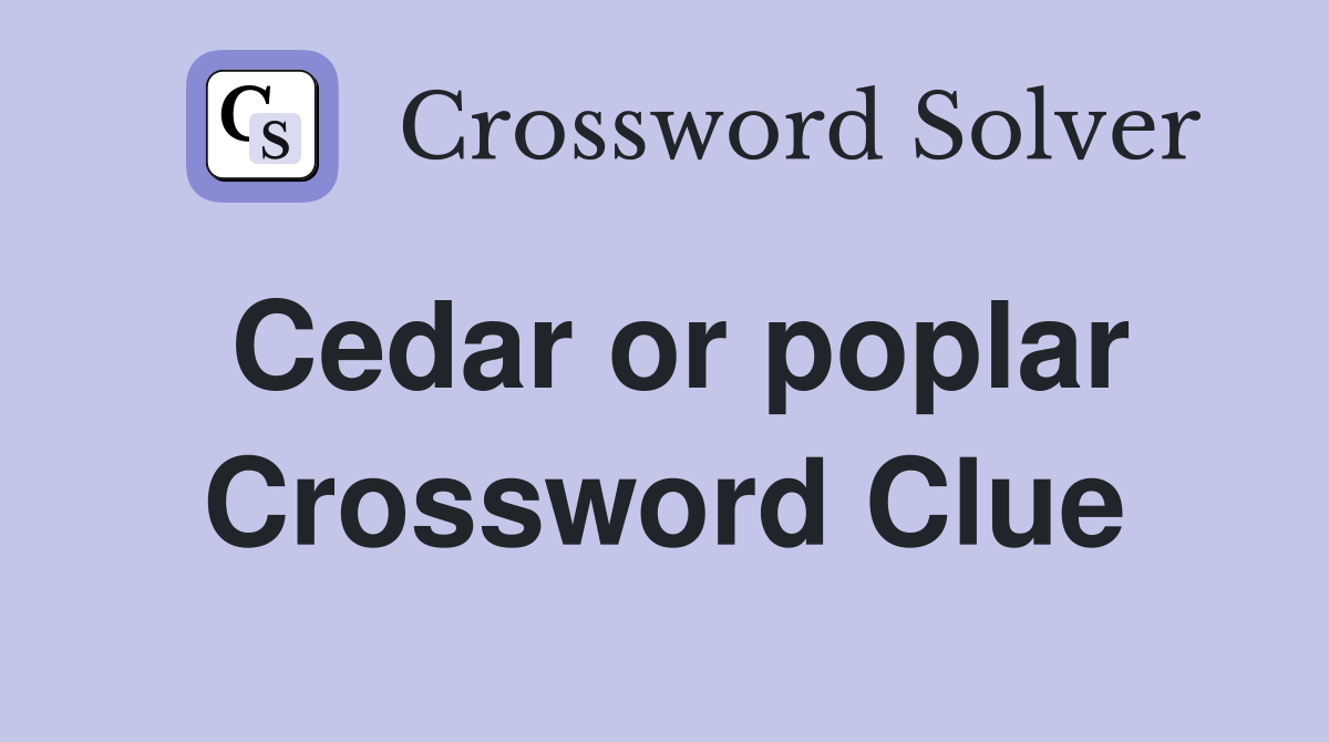 Cedar or poplar Crossword Clue