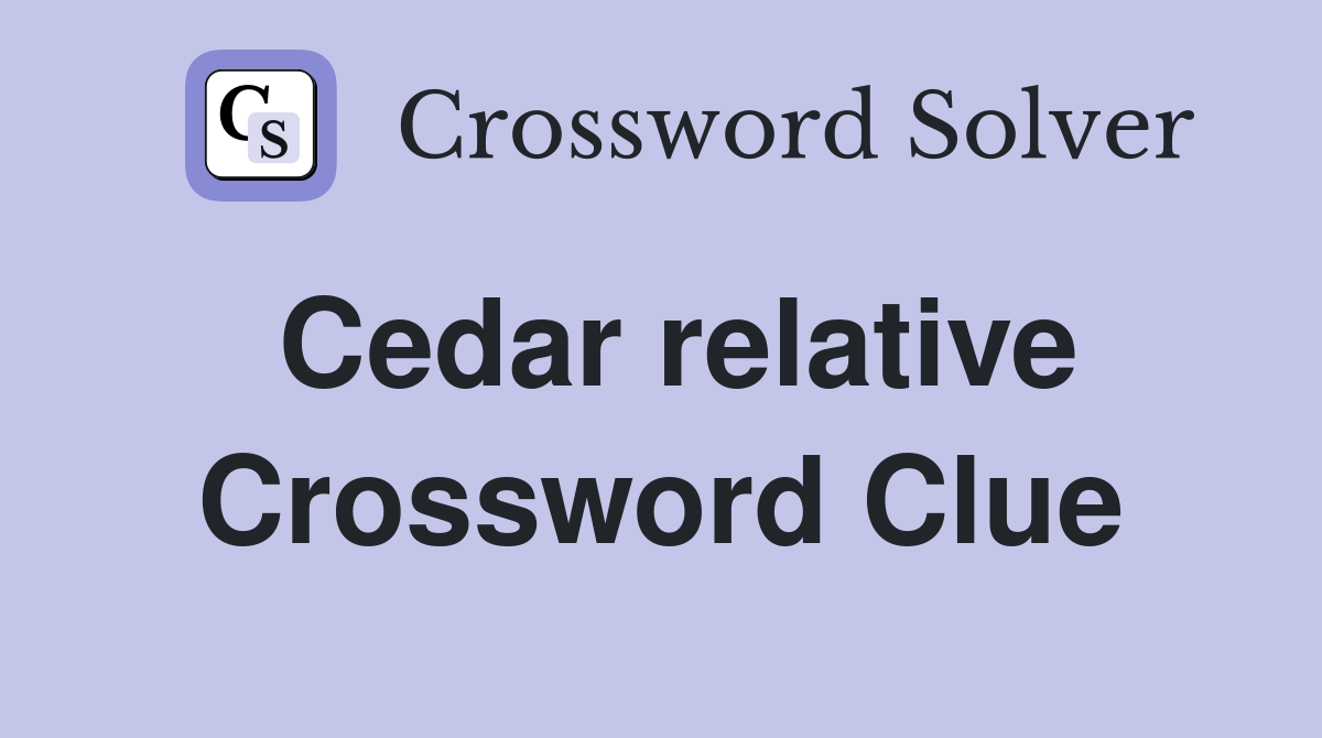 Cedar relative Crossword Clue