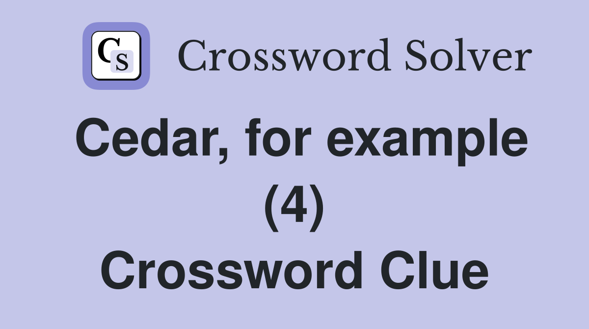 Cedar, for example (4) Crossword Clue